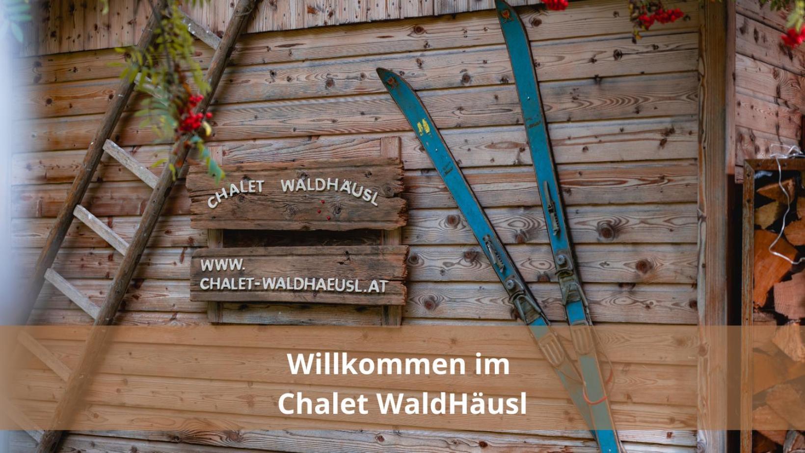 Chalet Waldhaeusl Luxurioese Ferienwohnungen Mit Sauna & Whirlpool, Kamin, Balkon Oder Terrasse Mit Bergblick Heiligenblut Kültér fotó